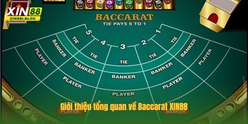 Tìm hiểu Baccarat XIN88 là gì