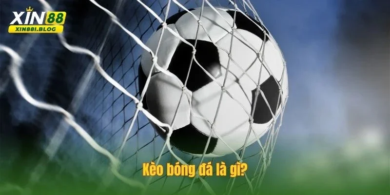 cách đọc kèo bóng đá