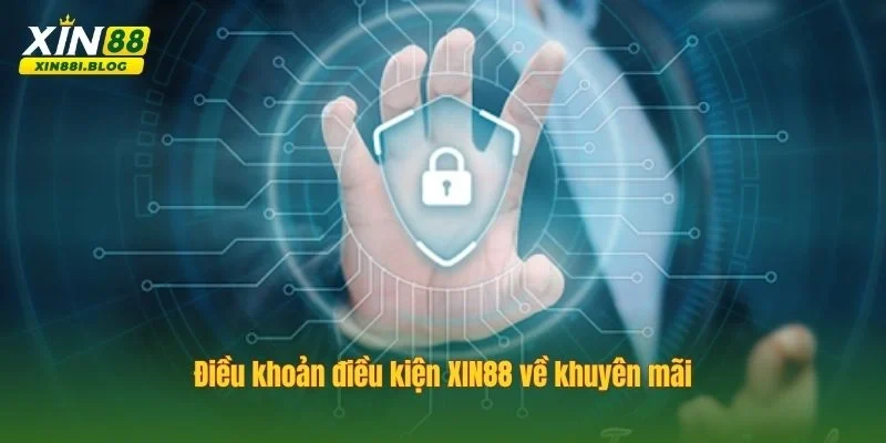 điều khoản điều kiện