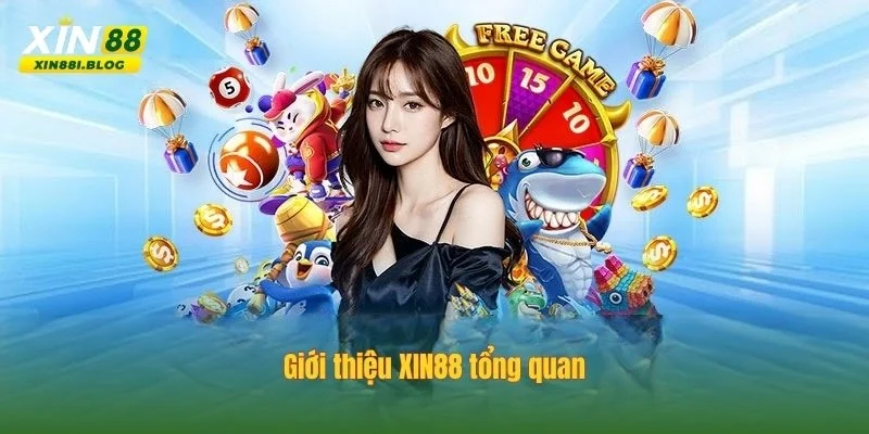 giới thiệu XIN88