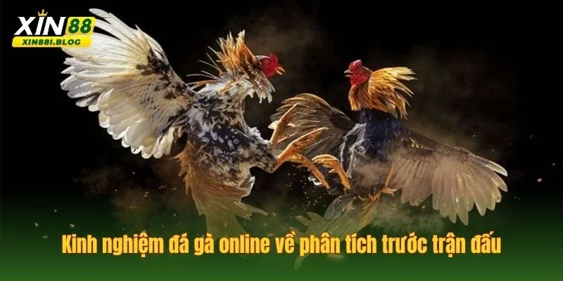 kinh nghiệm đá gà online