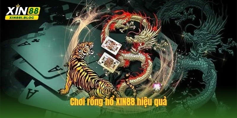 Rồng hổ XIN88