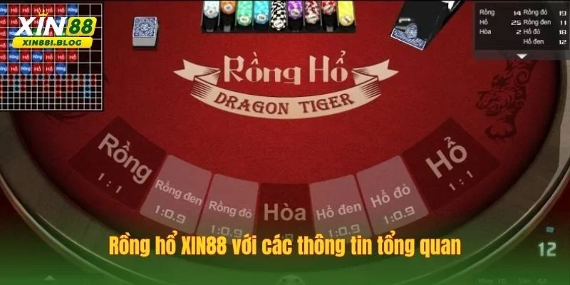 Rồng hổ XIN88