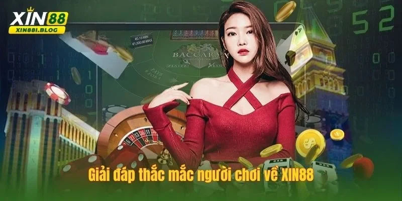 Q&A - Trả lời chi tiết những vấn đề người chơi gặp phải